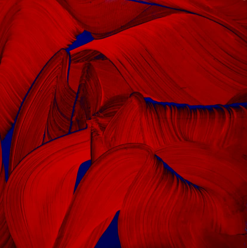 Blue on Red (004)